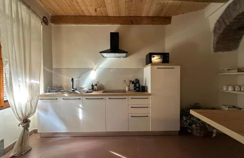 Vitis Verde - Foto 5