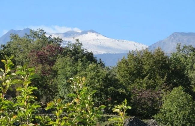 Le Case del Merlo - Foto 48