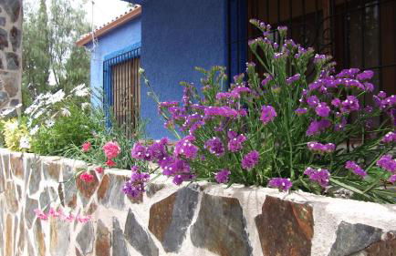 Casa Rural Mi Campo - Foto 46