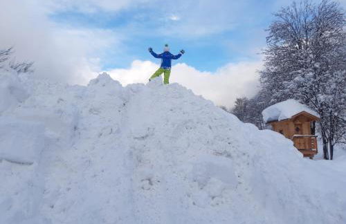 Residence Alice - Foto 4