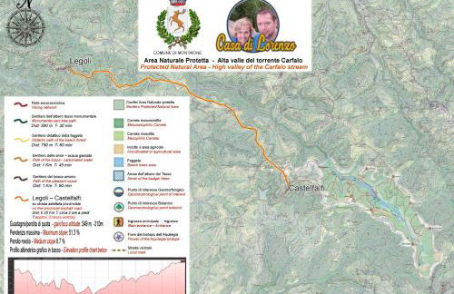 At the Castle - Foto 55