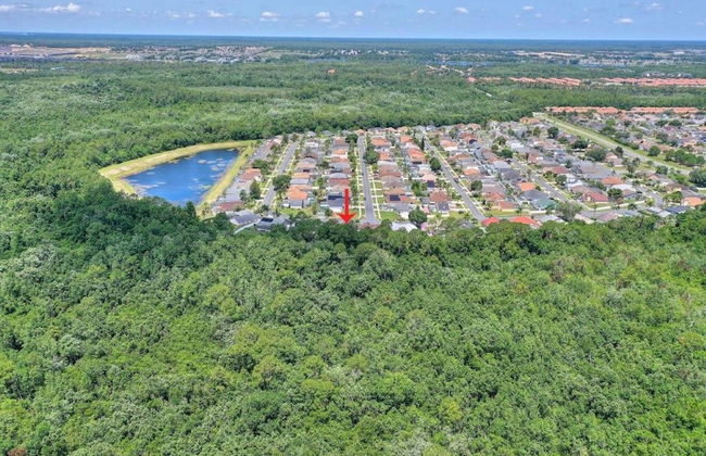 2811 Lindfields - Foto 59