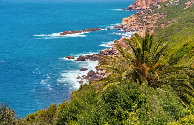 Visite complète dans Tanger - Photo 4