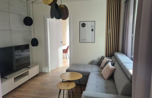 Apartamenty z widokiem na Śnieżkę - Photo 1