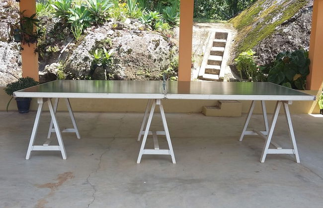 Chácara do Alemão - Recanto Jd.Silvestre - Foto 38