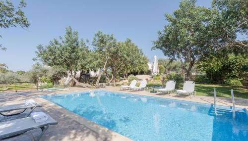 Villa Archodia - With Private Pool - Foto 3, Garden, sunbed