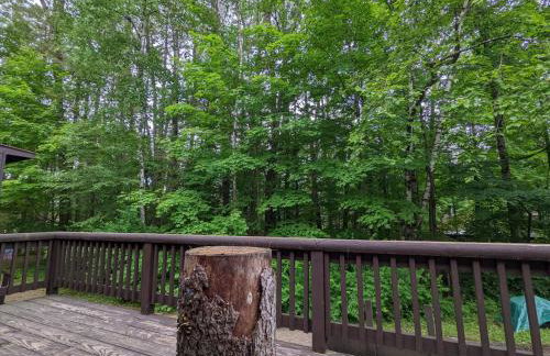 Cozy Adirondack JEM Your Four Season Getaway - Foto 14