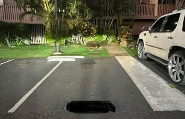 Valley Vibes and Beach Bliss Condo for Family Nomads - Foto 8