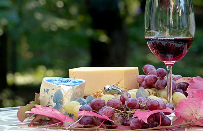 Pisado de la uva en Cadenet - Foto 1