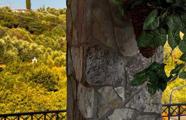 Villa Gaia Navarino - Foto 41