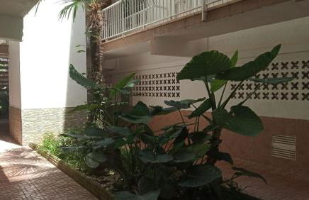 BELLAMAR 25 - Photo 4