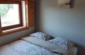 Gecko Pego Longo - Foto 21