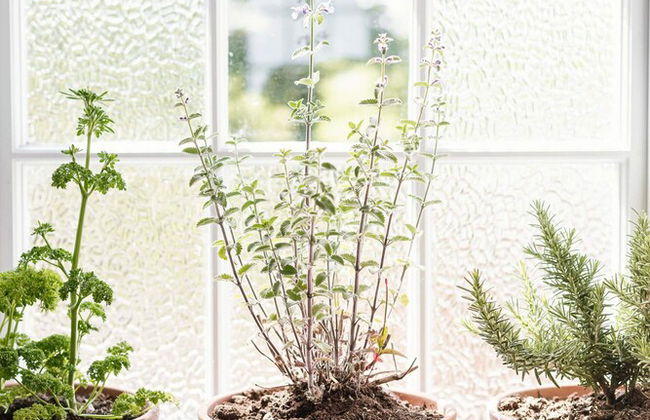 STAY Lagom Coastal House - Foto 11