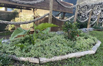 Casas das Hortas, Apartamento Vista Mar - Foto 29