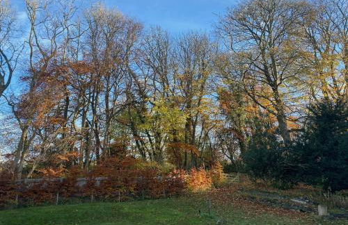 Mill Cottage Garden Studio nr Melrose - Foto 22