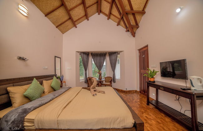 Xplore Indo - Onella - Foto 3