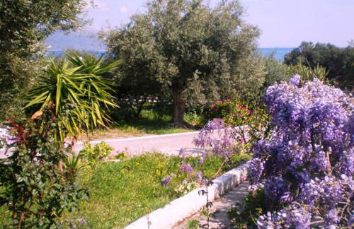 Tiki Rooms - Foto 18