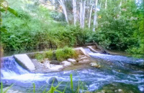 Alto de Torrecillas - Photo 37