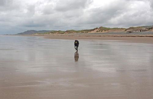 Glan y Morfa Welsh farmhouse overlooking Dyfi Estuary Rated 4 star Visit Wales - Photo 35