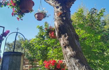 Rezidencija Galileja - Foto 56