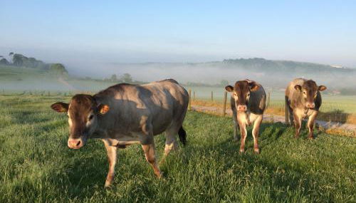 STUNNING FARM COTTAGES at South Downs Rural Retreats - Foto 3