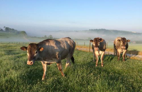 STUNNING FARM COTTAGES at South Downs Rural Retreats - Foto 3