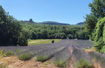 CHRIS LE VERGER - Foto 33