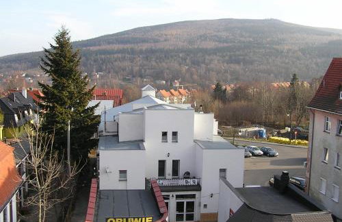 Apartamenty w Starym Kinie - Foto 44