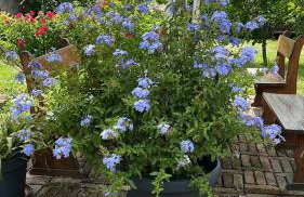 Turul -Kuća za odmor- - Foto 12