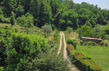 Sole di Bagnone - Photo 33