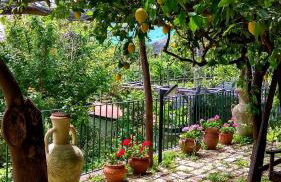 Il Limoneto degli Angeli - Foto 14