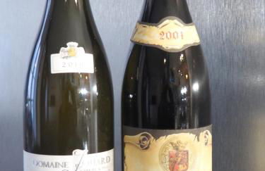 Le Richebourg - Charmant T2 Cosy, tout confort - Foto 42