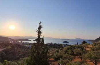 Πέτρα, Ελιά και Λεβάντα - Foto 57