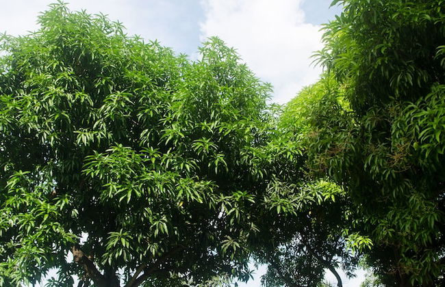 Beach Condo at Turtle Towers - Foto 18