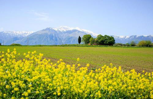 Hotel Residence Eden - Foto 20