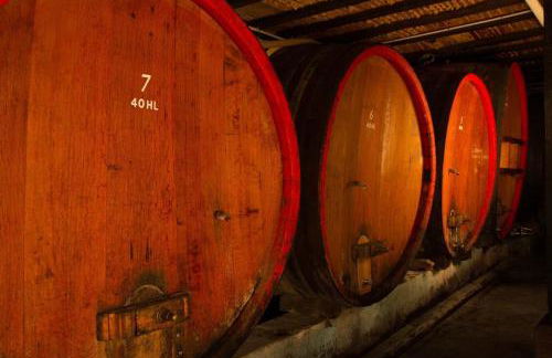 Gîte FLEUR DE VIGNES - Foto 27