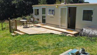 Meadow Bluebird - Photo 4