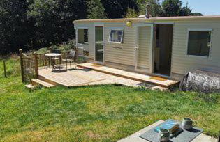 Meadow Bluebird - Foto 4