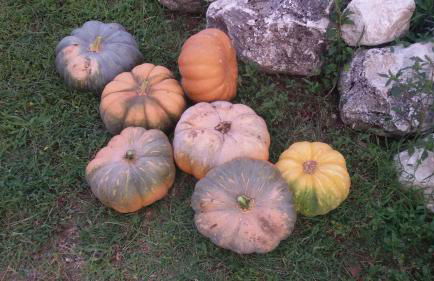 Agriturismo di charme Erbadoro - Foto 87