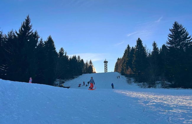 Alpine View Wellness Escape - Photo 33