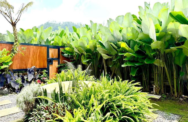 Asasta Kintamani Villa - Foto 6