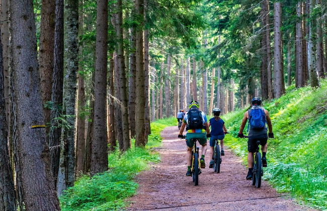 Spacious Stay With Terrace - Photo 33