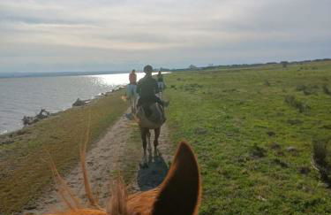 Cà Sal Holiday Home - Foto 14