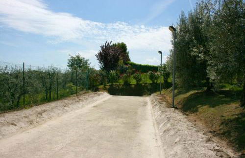 San Lorenzo - Foto 22