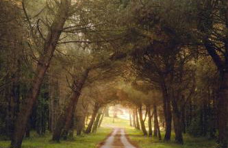 Aile château de Saint-Sarnin pour 10 personnes avec piscine - Foto 33