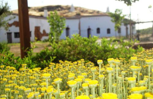 Cuevas Hammam Abuelo Jose - Photo 34