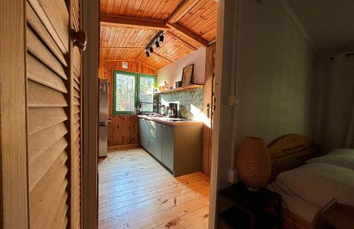 Leśny Zakątek - Foto 10