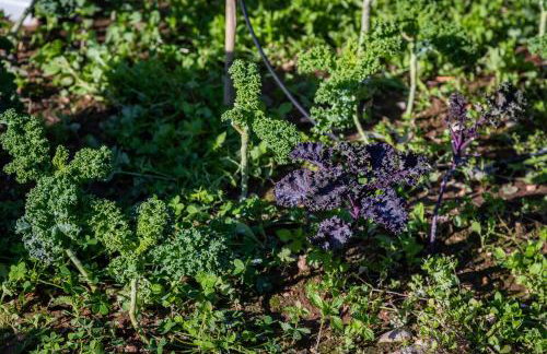 Villa KATHERINA G - Foto 35