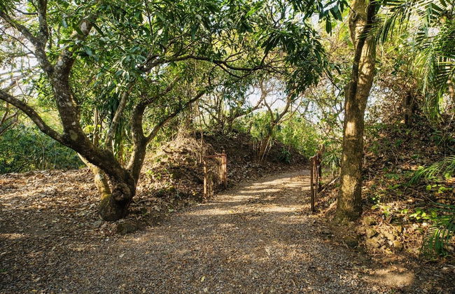 Relaxing Sound of River Birds Squirrels - Foto 36