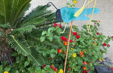 Amazing Grace Vacation Home - Foto 37